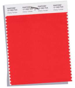 Pantone-Fashion-Color-Trend-Report-London-Spring-2018-Swatch-Cherry-Tomato